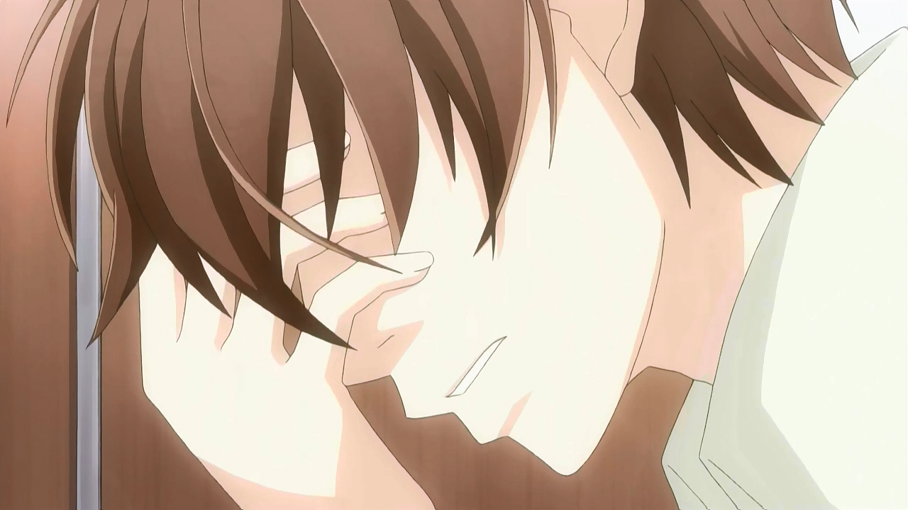 Sekaiichi Hatsukoi (Aino Fansub)